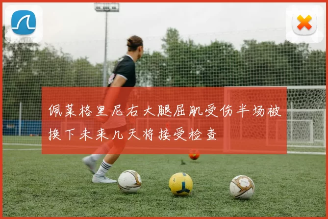 佩莱格里尼右大腿屈肌受伤半场被换下未来几天将接受检查